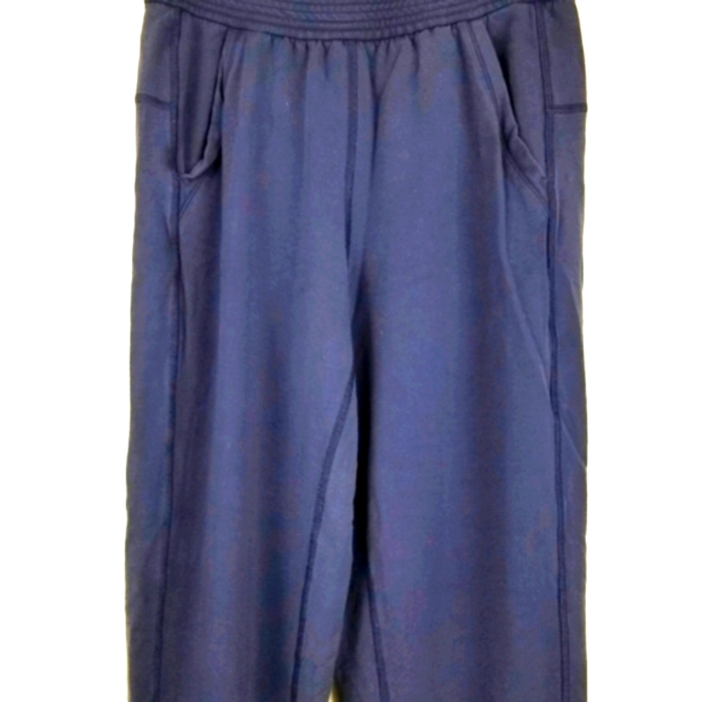 Lululemon Athletica Blue Terry Jogger Pants Sz 4 - Picture 1 of 11